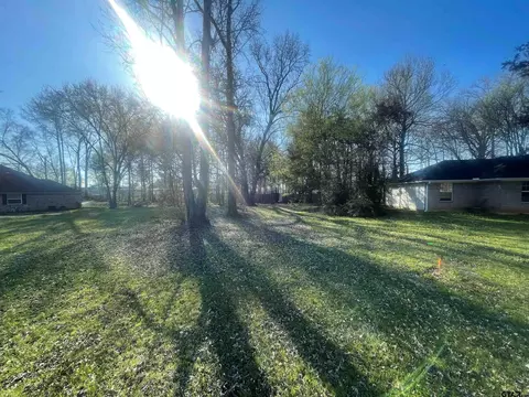 17466 Patrick, Flint, TX 75762 photo 1