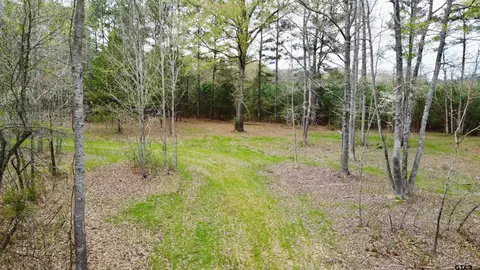 tbd County Road 1580a, Avinger, TX 75630