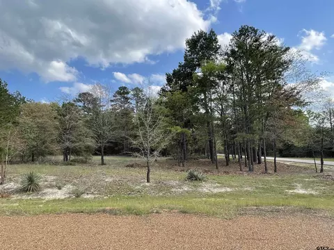 lot800 Angelina St, Scroggins, TX 75480