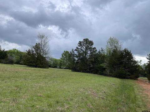 lot19 Hunters Holw, Mount Vernon, TX 75457