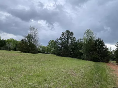 lot19 Hunters Holw, Mount Vernon, TX 75457