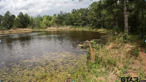 tbd W Fm 999, Gary, TX 75643 photo 8