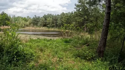 tbd W Fm 999, Gary, TX 75643 photo 6
