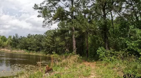 tbd W Fm 999, Gary, TX 75643 photo 5