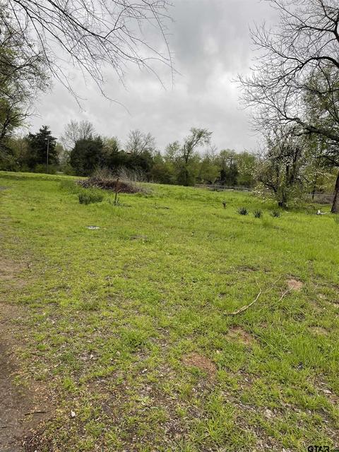 592 E Main St, Van, TX 75790 photo 3