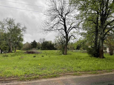 592 E Main St, Van, TX 75790