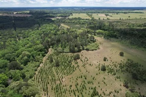 tbd W Fm 227, Grapeland, TX 75844