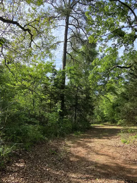 tbd Acr 478, Frankston, TX 75763