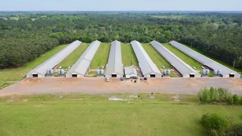 1000 County Road 2856, Hughes Springs, TX 75656