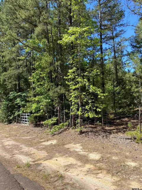 700 C R 3940, Mineola, TX 75773