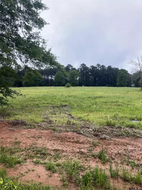 2039 Cr 2138, Troup, TX 75789