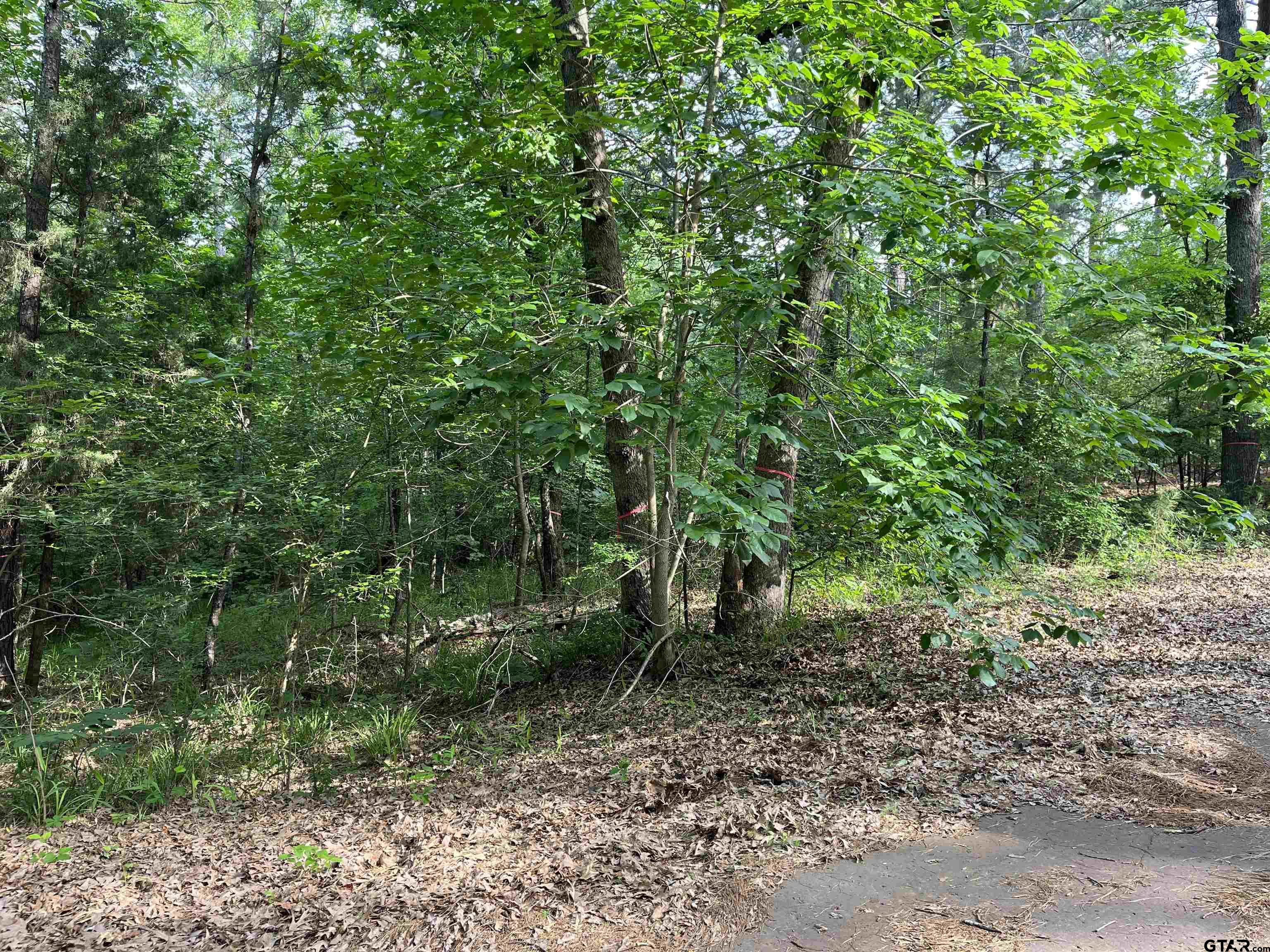 lot147 Silver Oaks Dr  