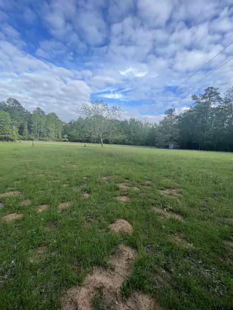 4040 Acr 445, Palestine, TX 75803