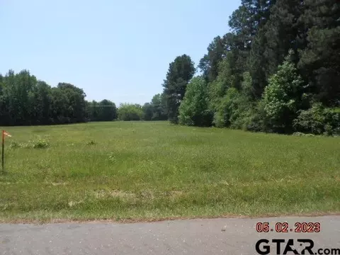 lot1 2 94ac Cr 216 Cr 217, Henderson, TX 75652