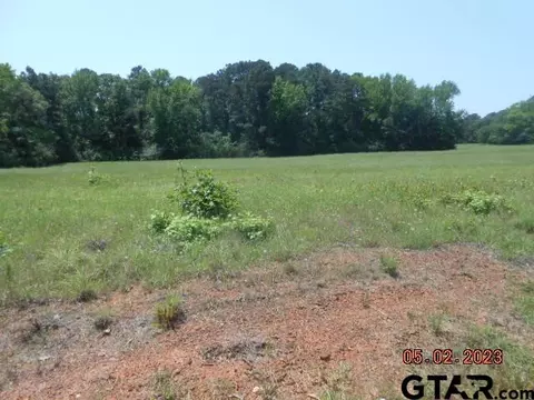 lot4 5287 Ac Cr 217, Henderson, TX 75652