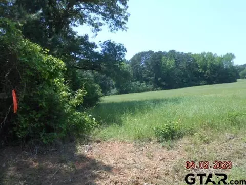 lot5 5287 Ac Cr 217, Henderson, TX 75652