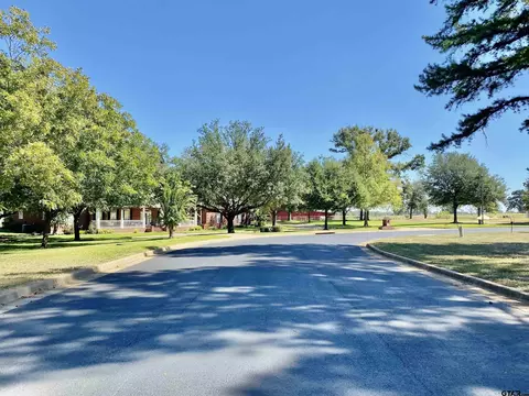 lot30 Easy St, Frankston, TX 75763