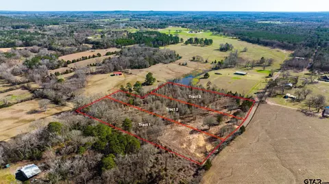 Tract 2 Elderberry Rd, Gilmer, TX 75644