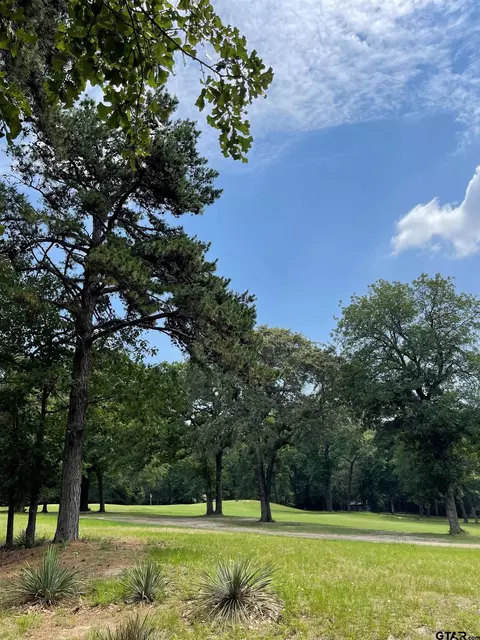 tbd Lot 526r Golfing Green Cv, Holly Lake Ranch, TX 75765