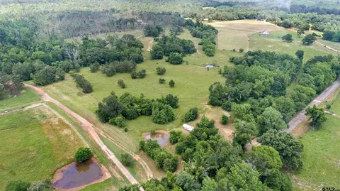 16157 Cr 4336, Larue, TX 75770