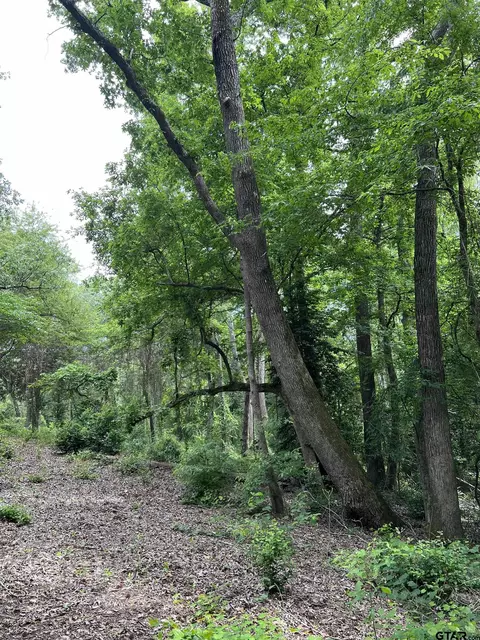 17543 Cr 4108, Lindale, TX 75771 photo 13