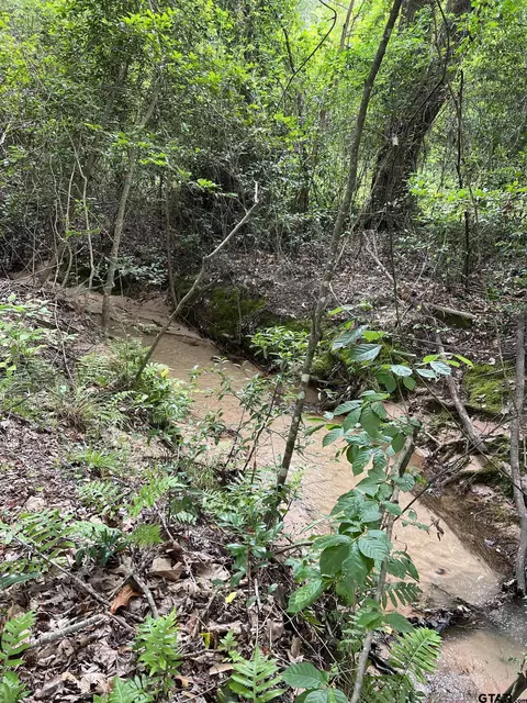 17543 Cr 4108, Lindale, TX 75771 photo 17