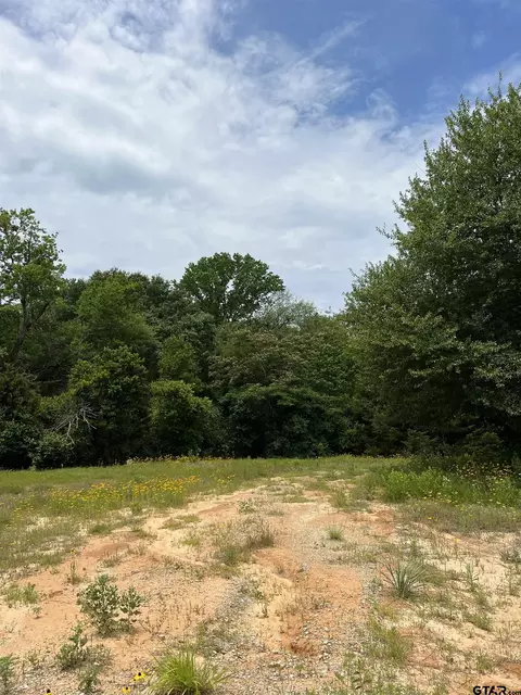 17543 Cr 4108, Lindale, TX 75771 photo 4
