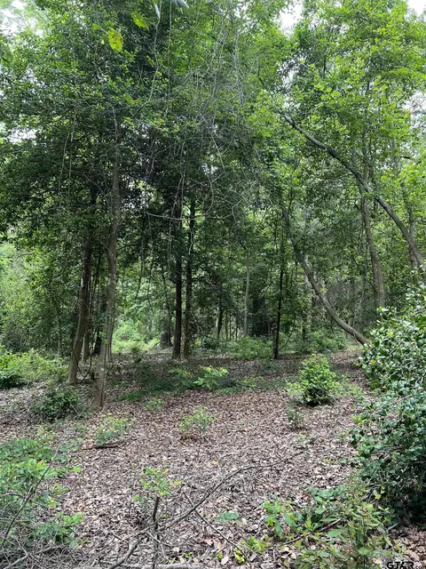 17543 Cr 4108, Lindale, TX 75771 photo 14