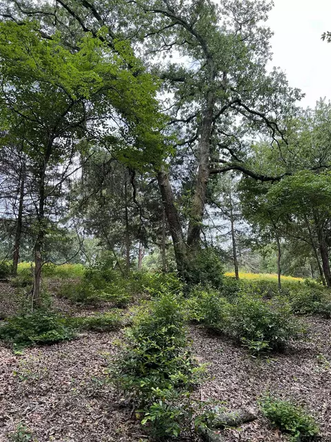 17543 Cr 4108, Lindale, TX 75771 photo 12