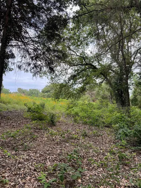 17543 Cr 4108, Lindale, TX 75771 photo 15