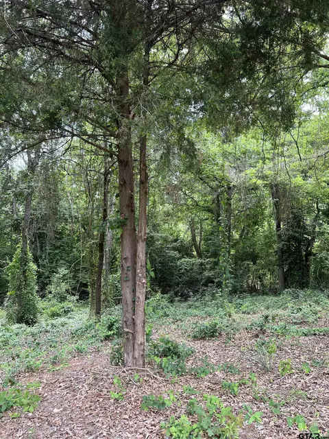 17543 Cr 4108, Lindale, TX 75771 photo 18