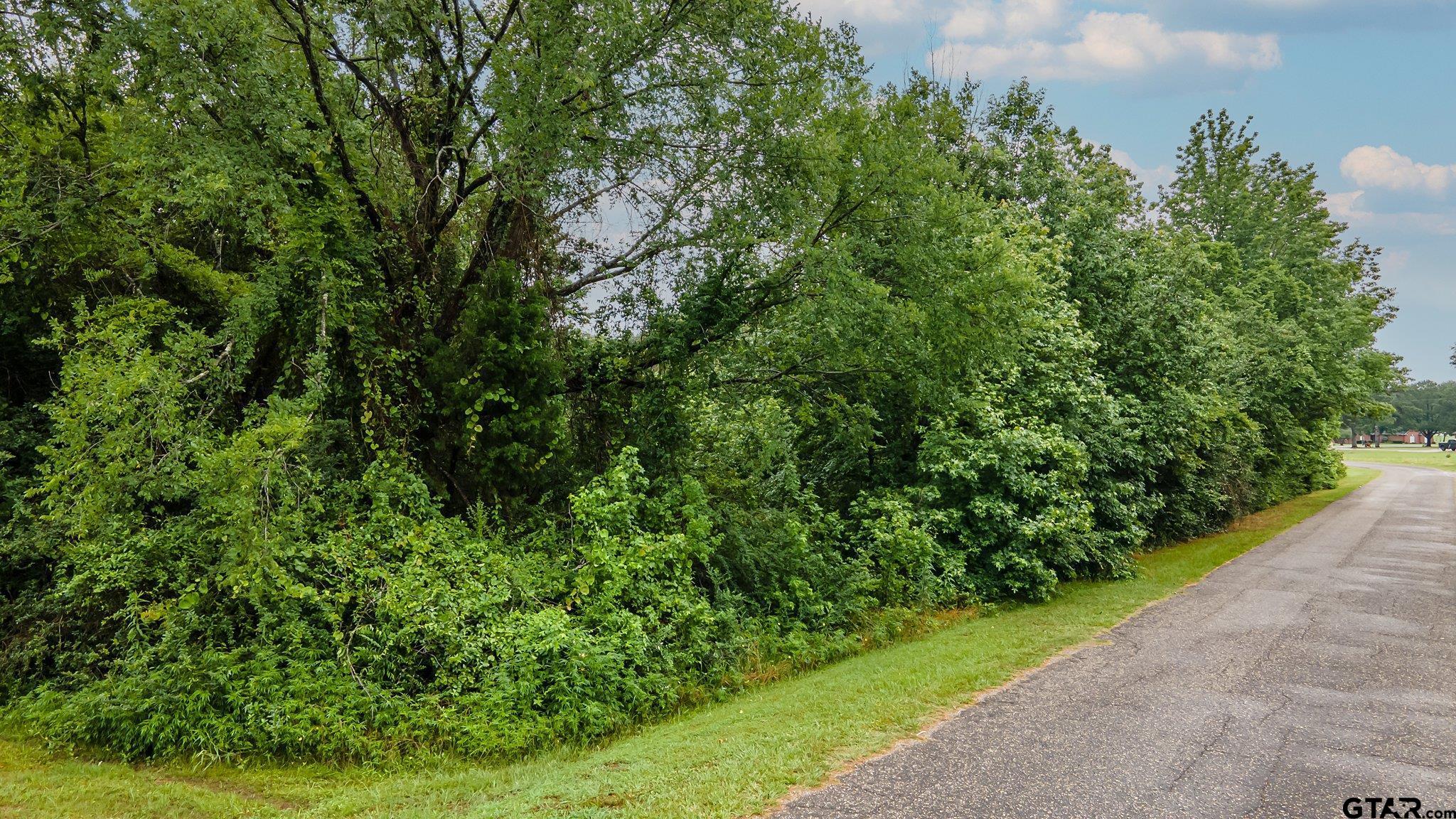 Lot 43 A County Rd 3009