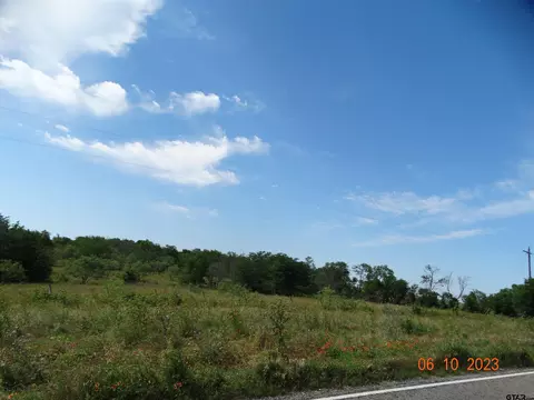 tbd Fm 73, Coolidge, TX 76635 photo 8