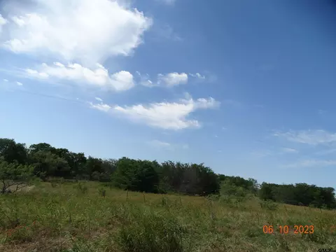 tbd Fm 73, Coolidge, TX 76635 photo 7