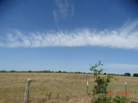 tbd Fm 73, Coolidge, TX 76635 photo 3