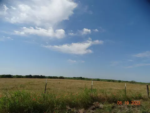 tbd Fm 73, Coolidge, TX 76635 photo 5