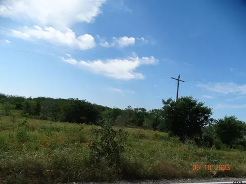 tbd Fm 73, Coolidge, TX 76635 photo 9