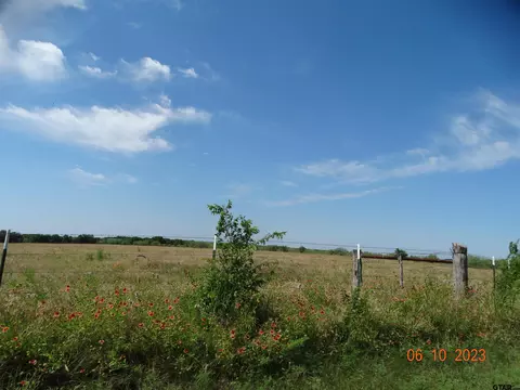 tbd Fm 73, Coolidge, TX 76635 photo 4