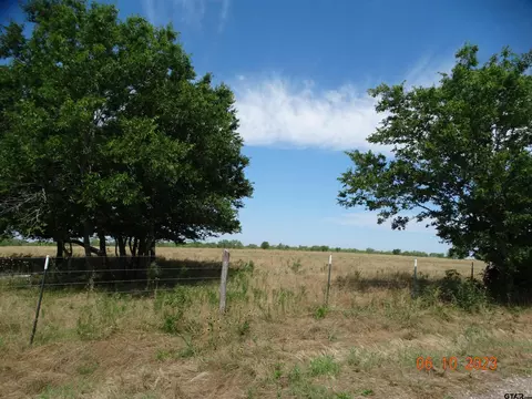 tbd Fm 73, Coolidge, TX 76635 photo 2