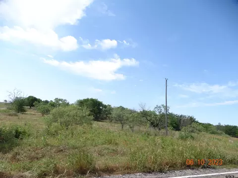 tbd Fm 73, Coolidge, TX 76635 photo 6