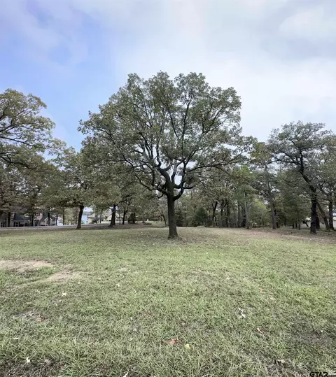 tbd Pr 52364, Pittsburg, TX 75686