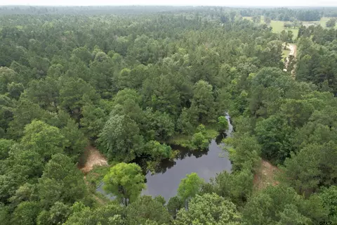 1620 Cr 3430, Lovelady, TX 75851