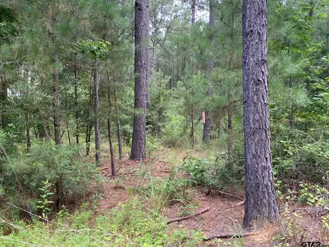 tbd Fm 752, Rusk, TX 75785 photo 4