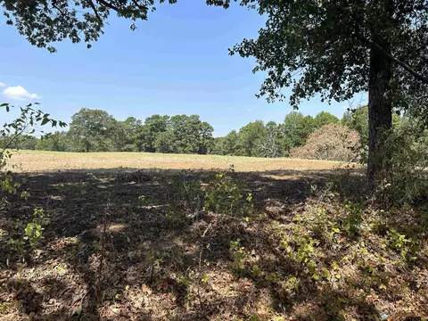 lot3 3 Acres County Road 2169, Troup, TX 75789