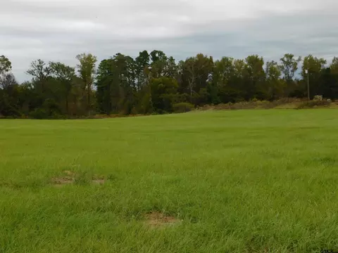 tbd Arrowwood, Big Sandy, TX 75755