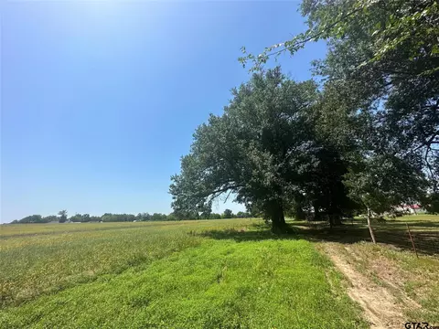 10 Ac Tract 2 County Road 1166, Brashear, TX 75420