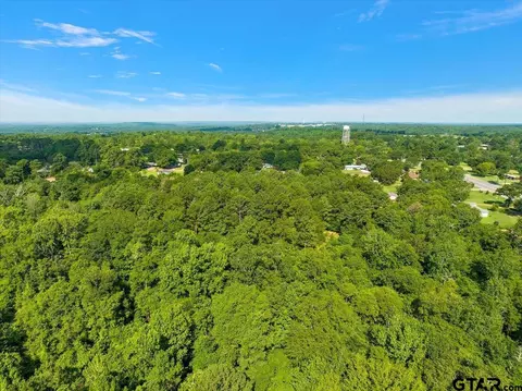 tbd Johnson Dr, Rusk, TX 75785 photo 9