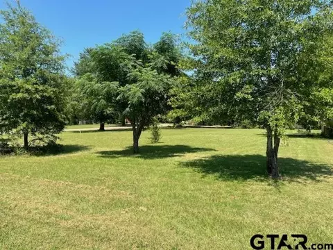 tbd Lot 2223 24 Acr 308, Frankston, TX 75763