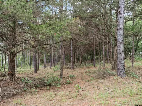 Tbd Cr 413, Tyler, TX 75704