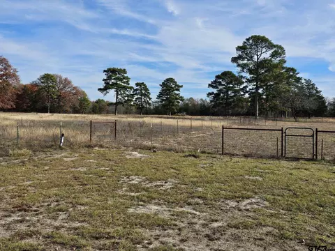 1224 N Fm 2869, Winnsboro, TX 75494